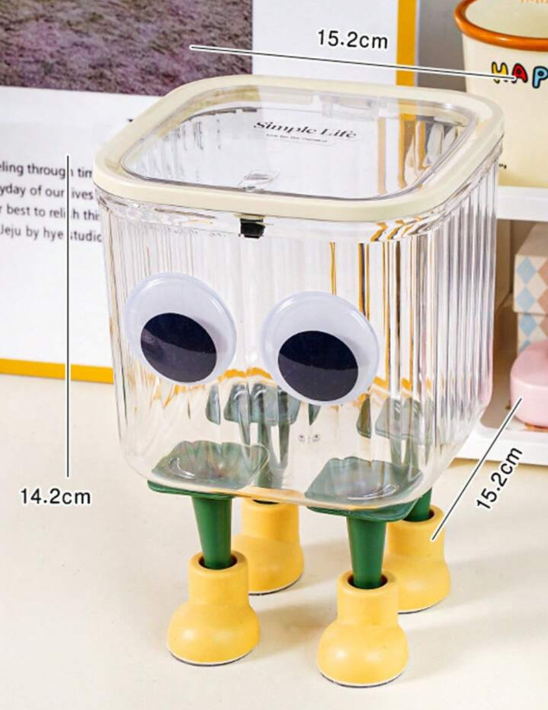 Cute Transparent Storage Container With Lid