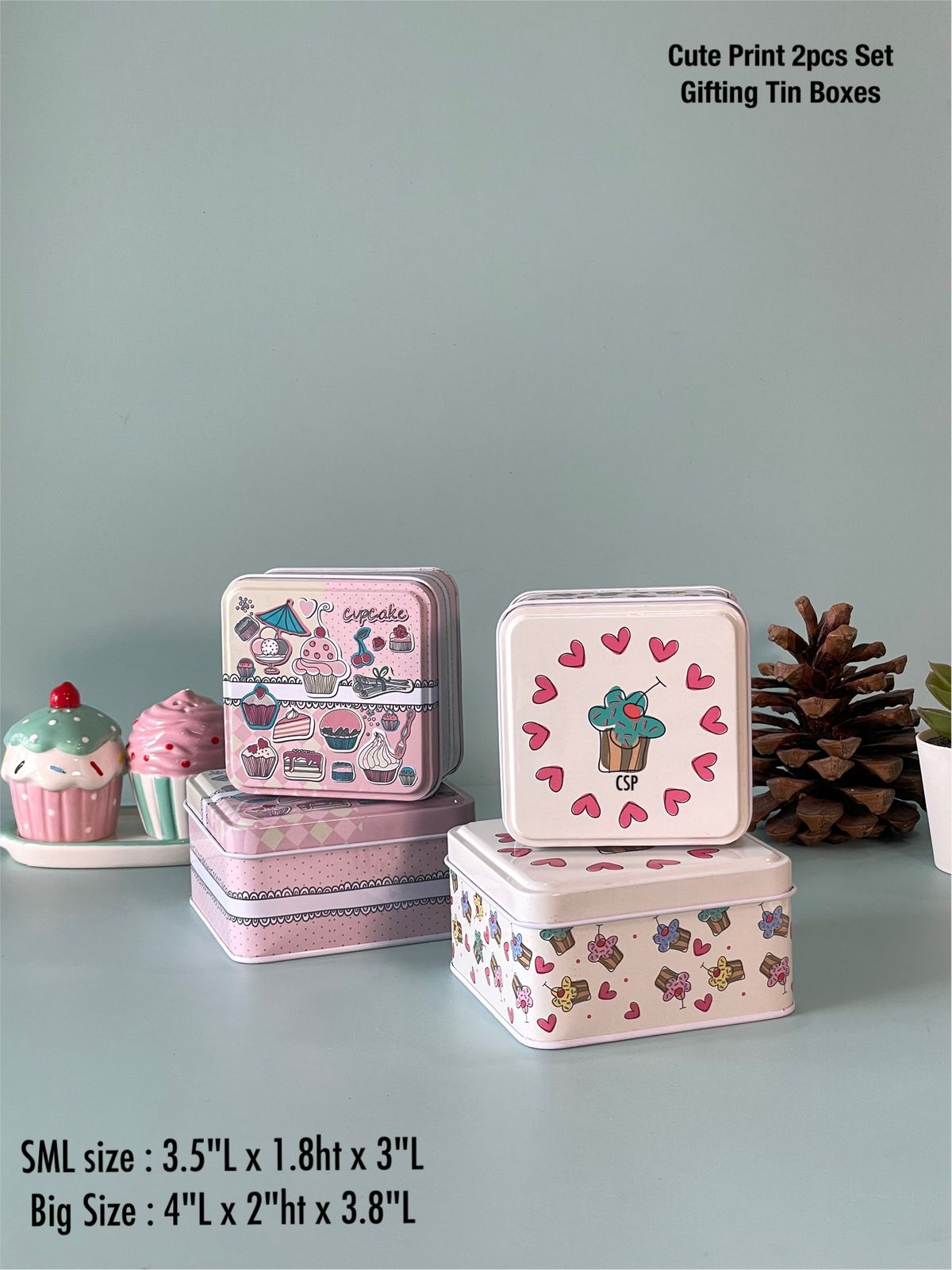 Cute Tin Boxes Set of 2