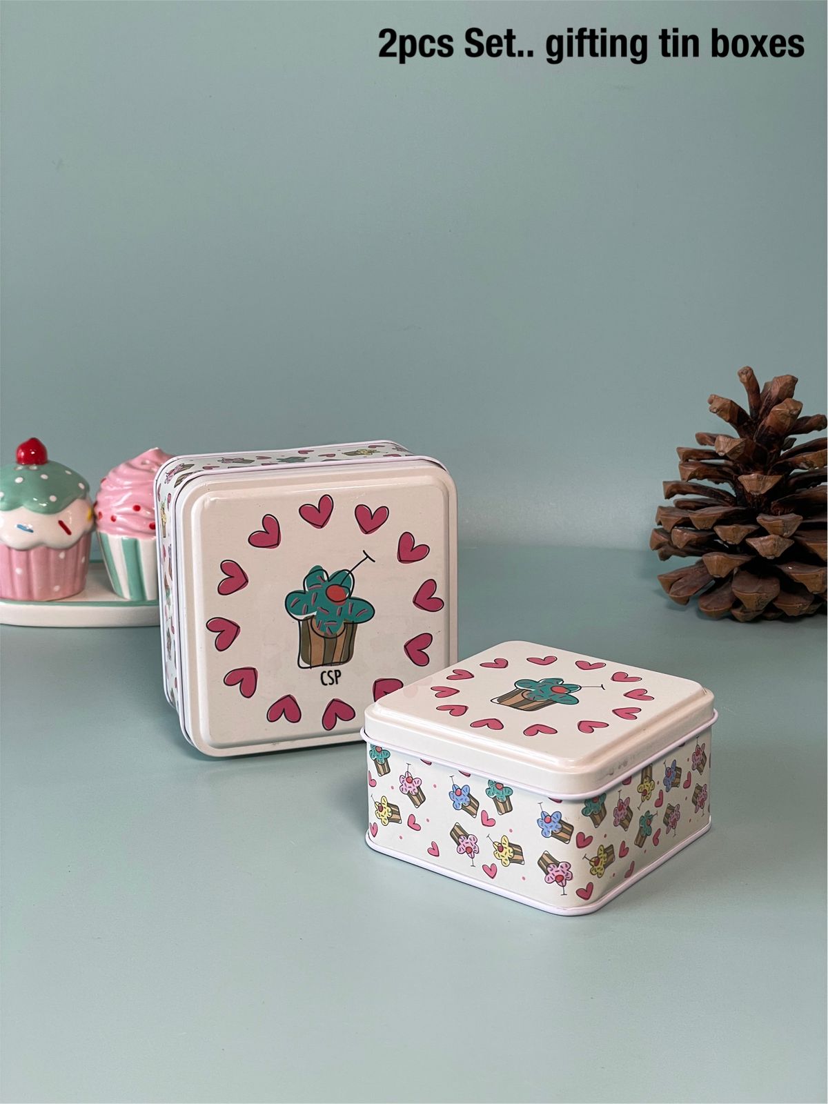 Cute Tin Boxes Set of 2