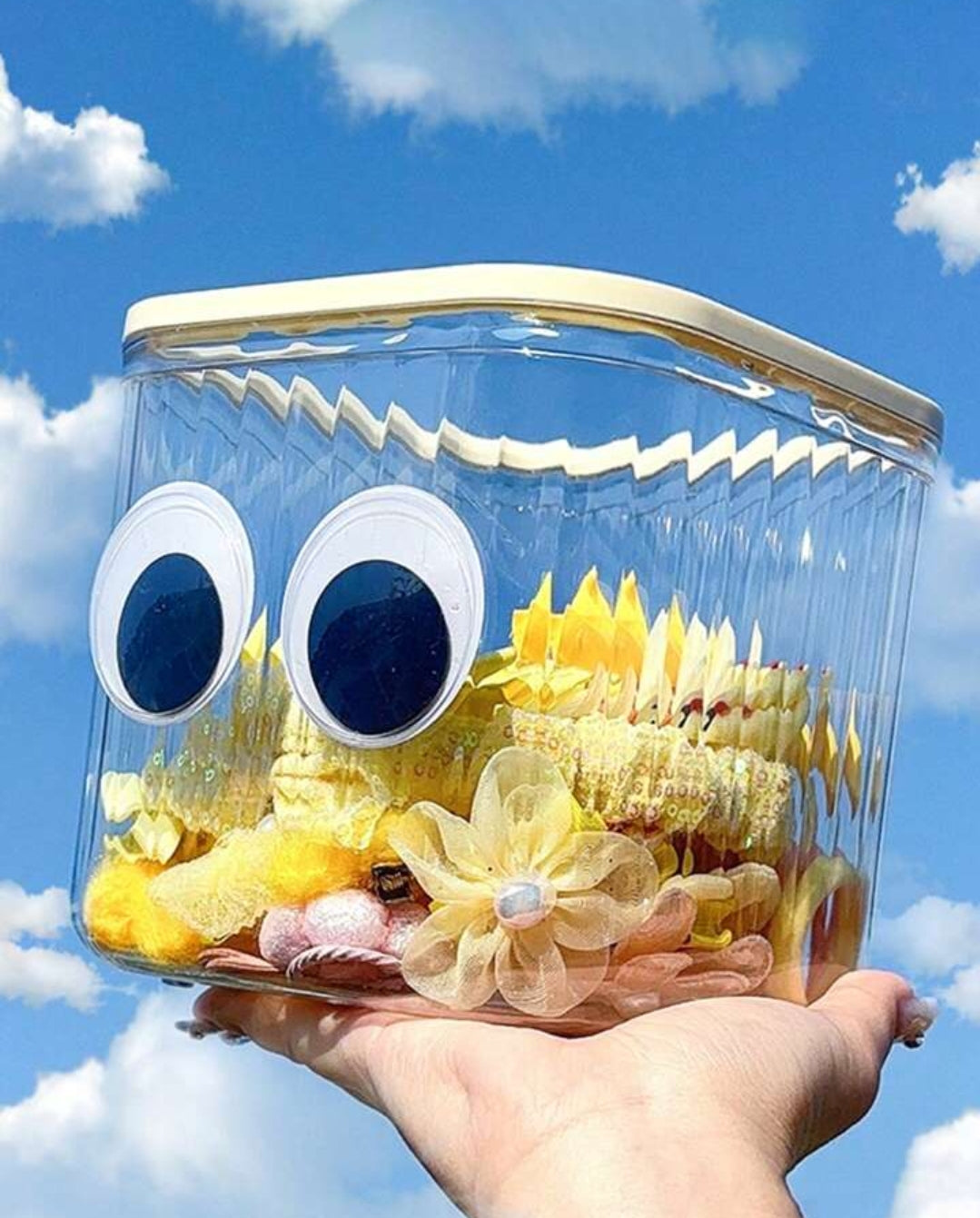 Cute Transparent Storage Container With Lid